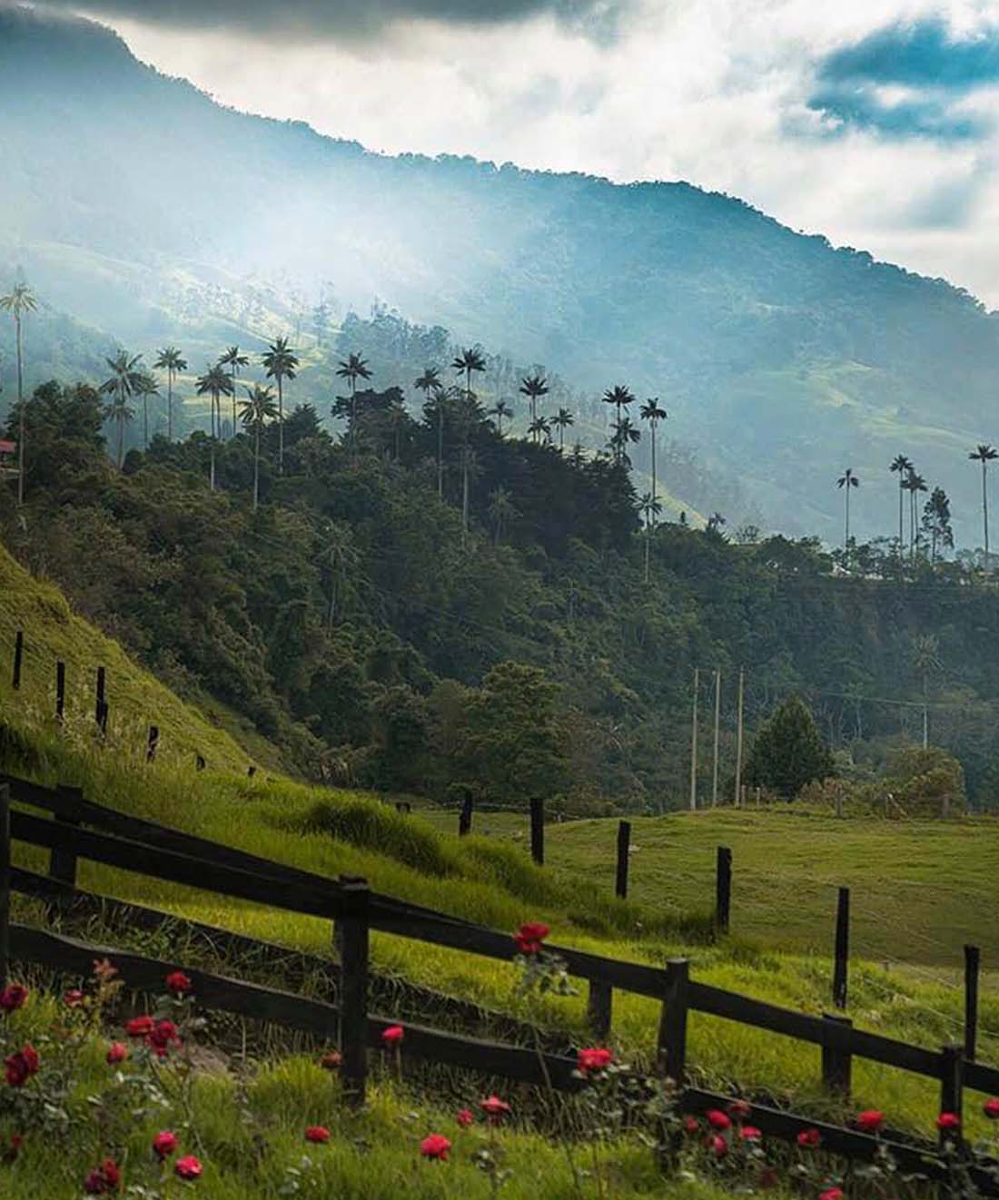 img-galeria-alianzas-10-brisas-del-rio-salento-quindio-colombia