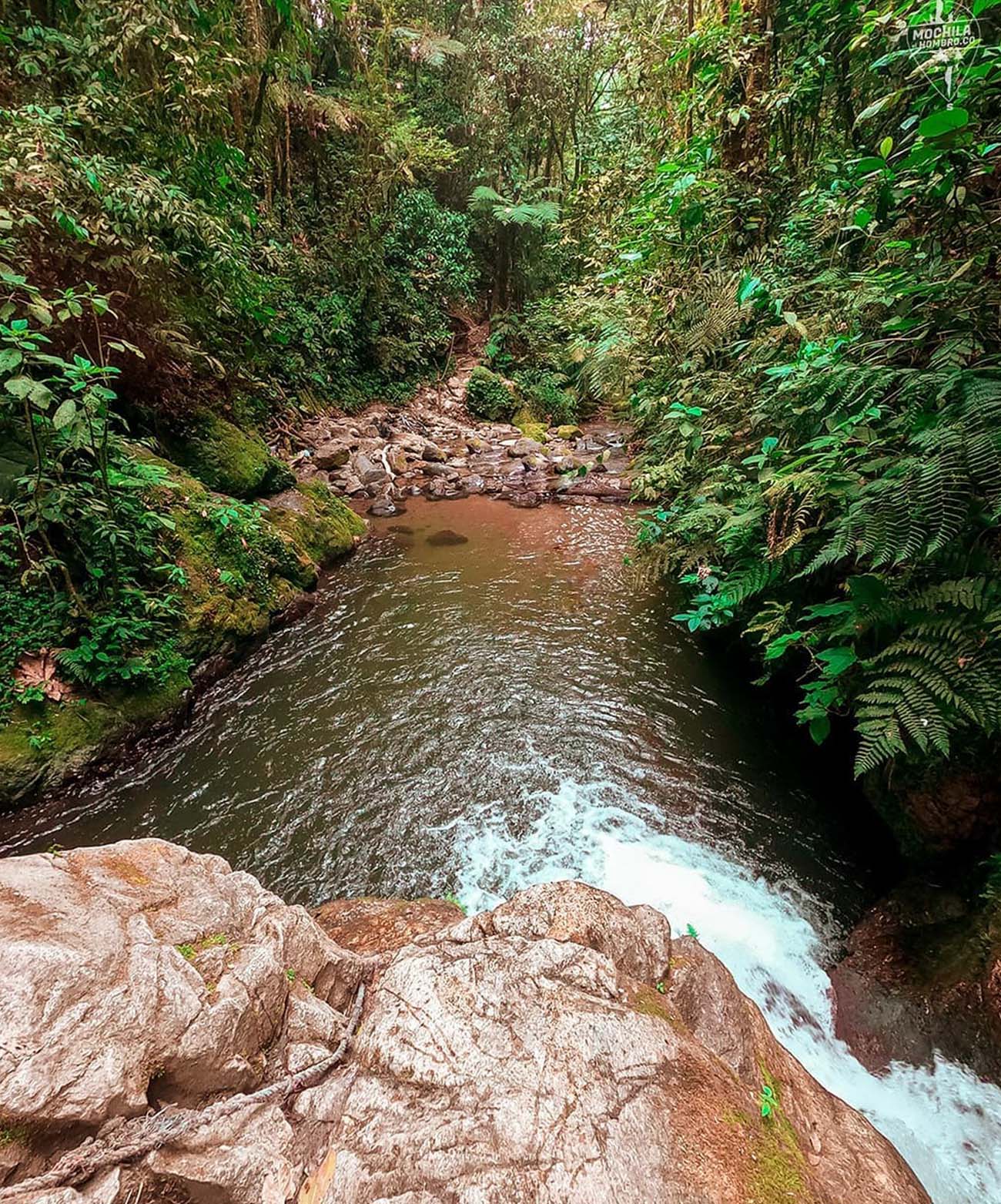 img-galeria-alianzas-6-brisas-del-rio-salento-quindio-colombia